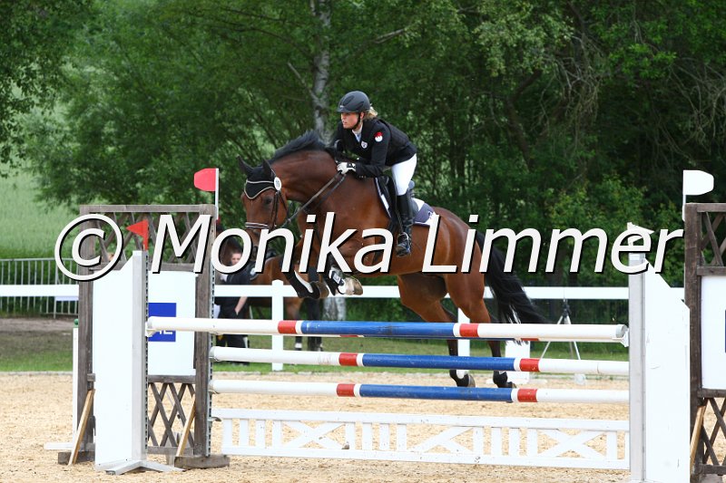 006M7304_Spring L.JPG